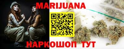 a pvp Камышлов