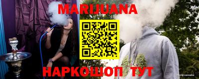 мдпв Кингисепп