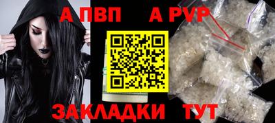 мдпв Кингисепп