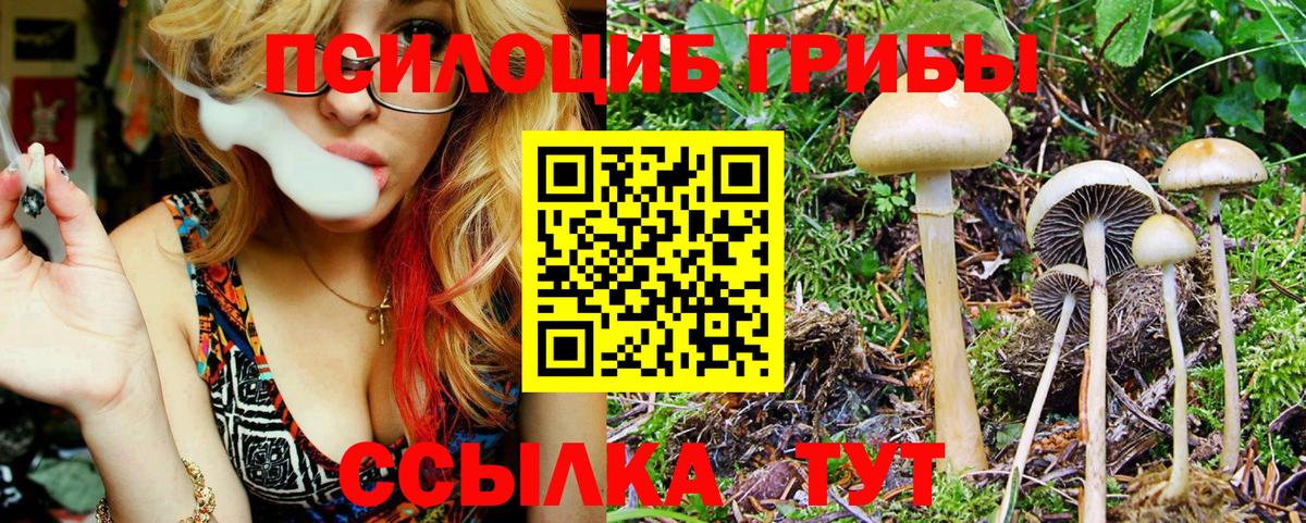 Красноуфимск  Псилоцибиновые грибы Magic Shrooms  Псилоцибиновые грибы Cubensis  Вход с VPN 